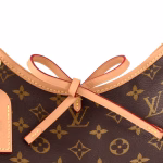CarryAll PM Bag M46203 - Image 6