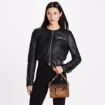 Dauphine Mini M45959 - Image 5