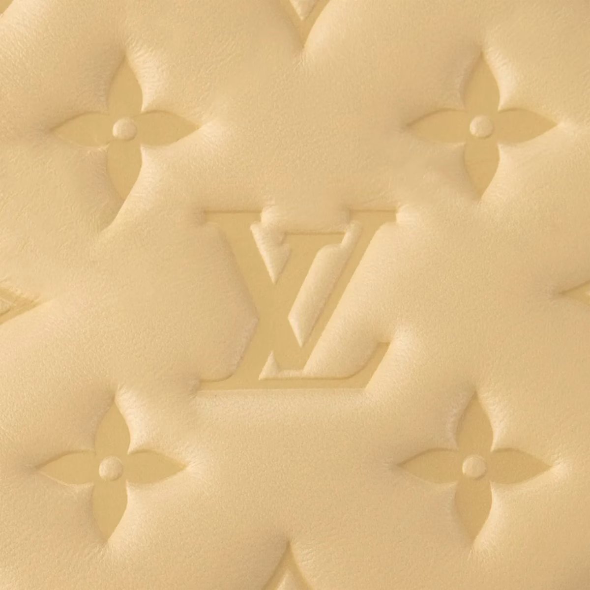 Coussin PM M25112 - Image 5