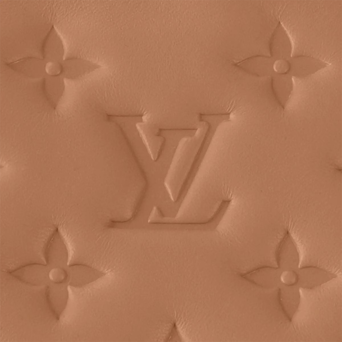 Coussin PM M21261 - Image 7