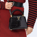 Crocodilian Leather-Capucines N93163 - Image 5
