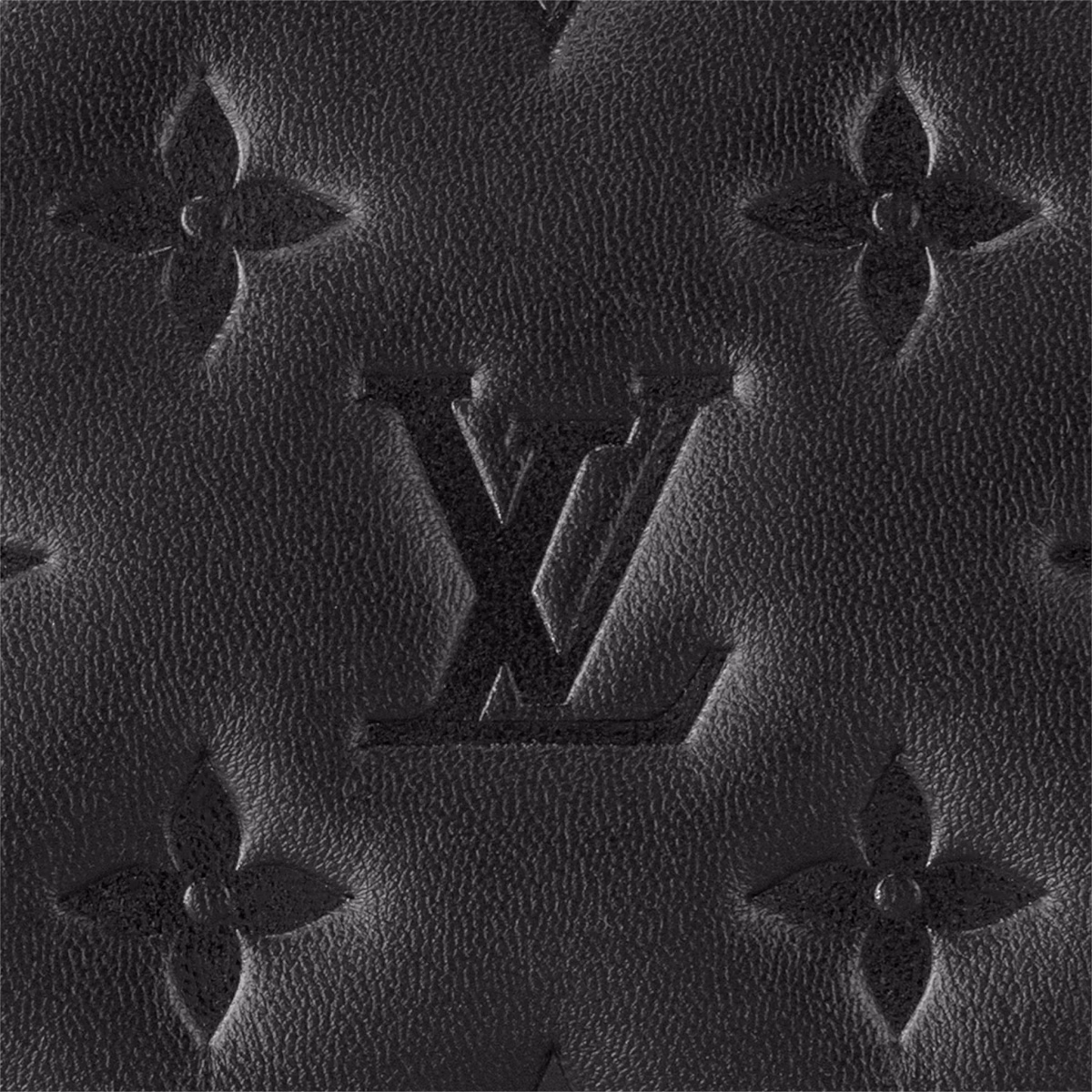 Coussin PM M57790 - Image 6