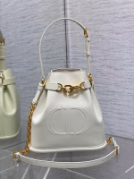 Dior C'est Medium Bag in White Saddle Calfskin - Image 6