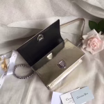 Dior Diorama Bag In Champagne Metallic Calfskin - Image 5