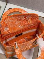 Dior Medium Lady D-Lite Bag In Fluorescent Orange Toile de Jouy Reverse Embroidery - Image 5