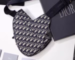 Dior Men's Saddle Belt Bag In Oblique Canvas - Image 8