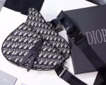 Dior Men's Saddle Belt Bag In Oblique Canvas - Image 4