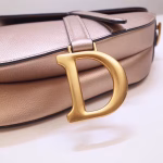Dior Saddle Bag In Champagne Metallic Grained Calfskin - Image 7