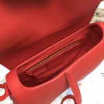 Dior Saddle Bag In Cherry Red Matte Calfskin - Image 8