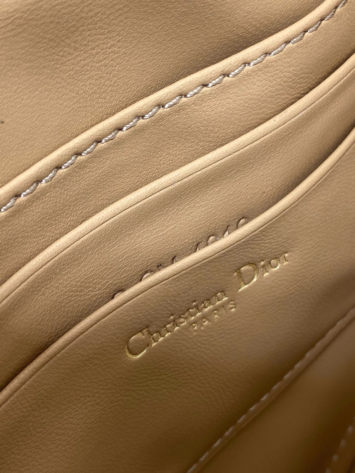 Dior Saddle Rodeo Pouch in Biscuit Goatskin - Image 6