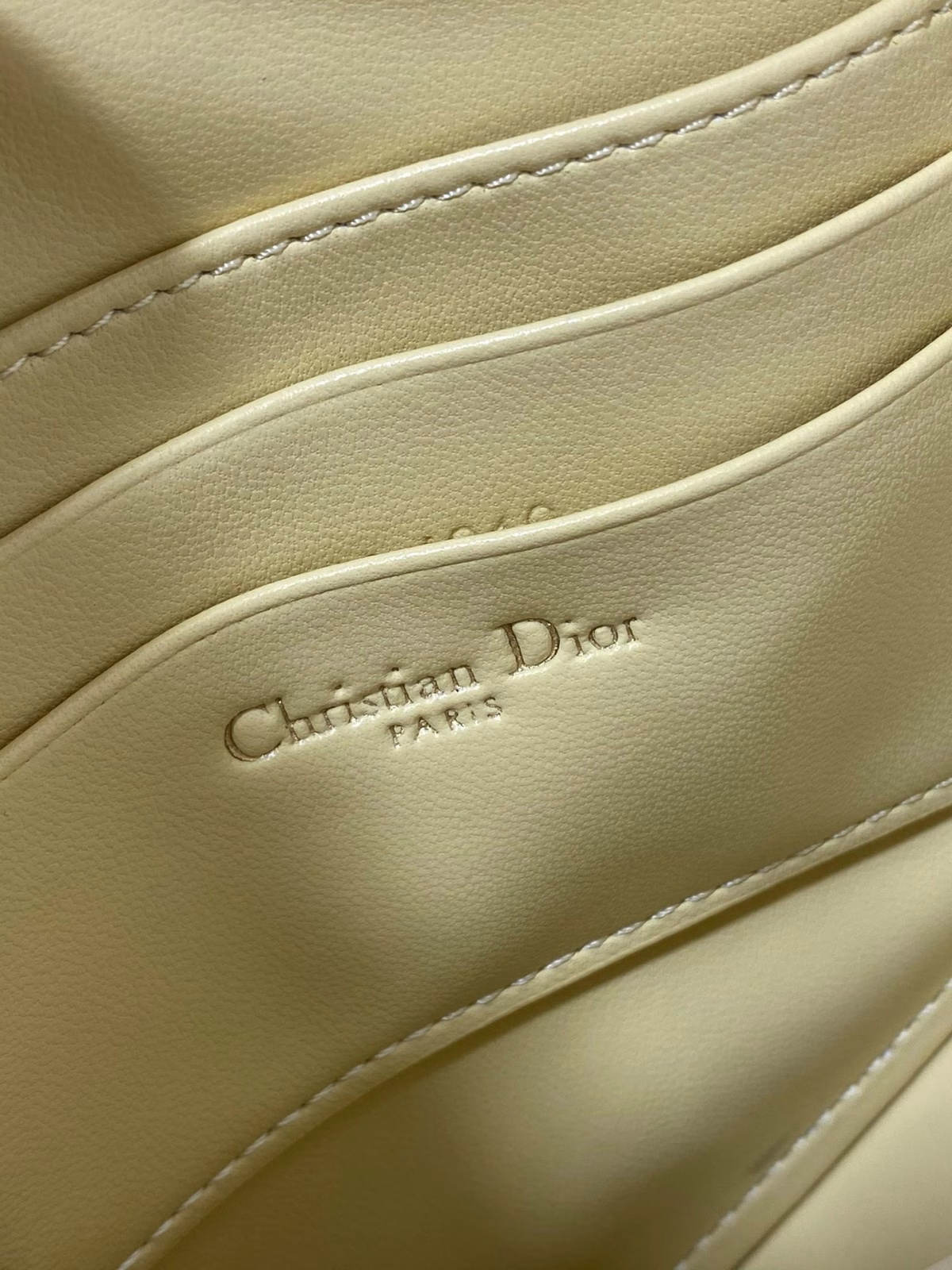 Dior Saddle Rodeo Pouch in Yellow Goatskin - Image 5