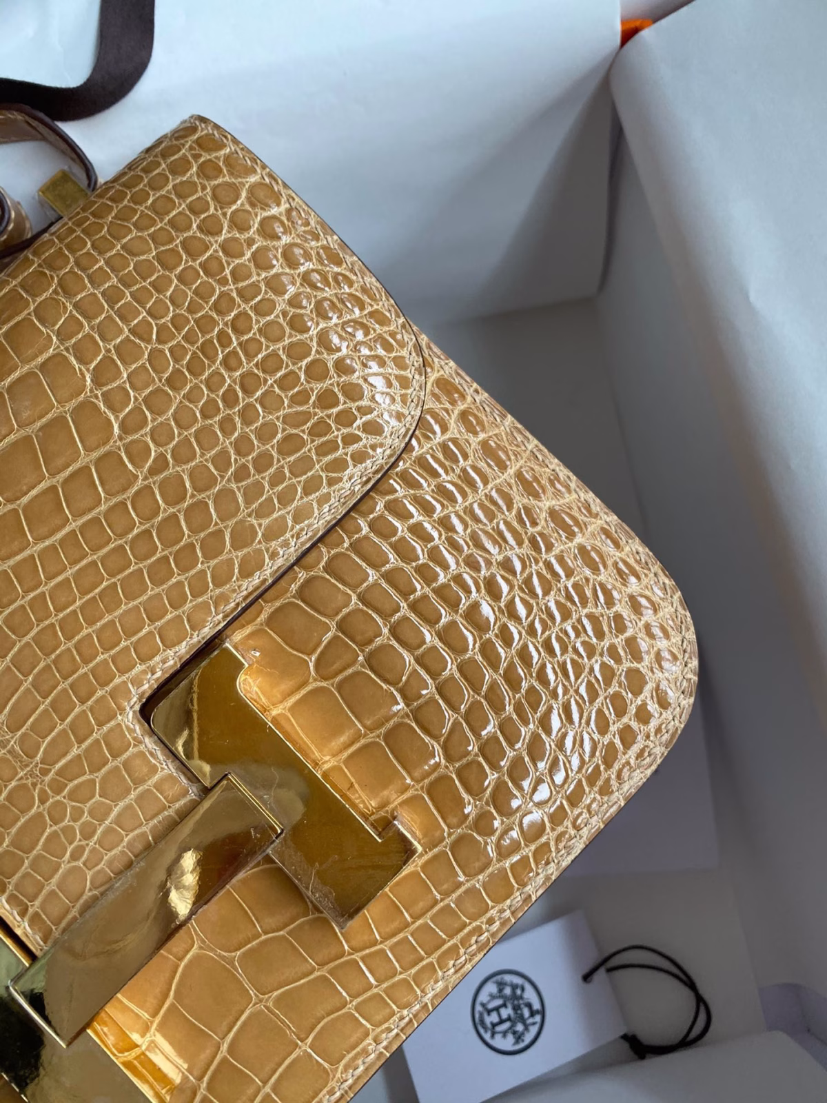 Hermes Constance 24 Handmade Bag In Beige Shiny Alligator Leather - Image 7