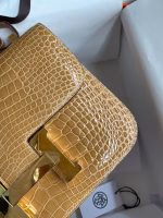 Hermes Constance 24 Handmade Bag In Beige Shiny Alligator Leather - Image 7