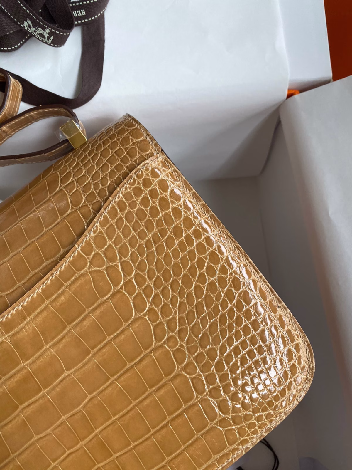 Hermes Constance 24 Handmade Bag In Beige Shiny Alligator Leather - Image 2
