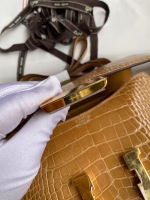 Hermes Constance 24 Handmade Bag In Beige Shiny Alligator Leather - Image 4