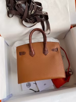 Hermes Day Sac Faubourg Birkin 20 Sellier Limited Edition Bag - Image 8