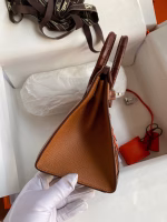 Hermes Day Sac Faubourg Birkin 20 Sellier Limited Edition Bag - Image 3