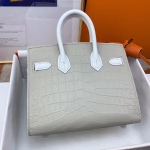 Hermes Snow Sac Faubourg Birkin 20 Sellier Limited Edition Bag - Image 7
