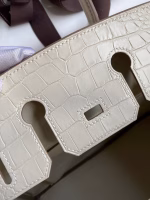 Hermes Birkin 25 Retourne Handmade Bag In Beton Matte Alligator Leather - Image 5