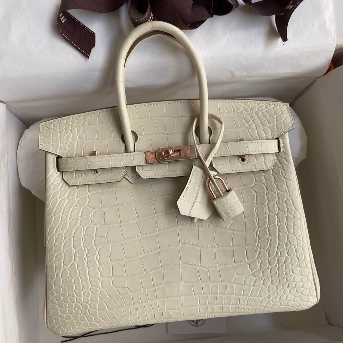 Hermes Birkin 25 Retourne Handmade Bag In Nata Matte Alligator Leather - Image 1