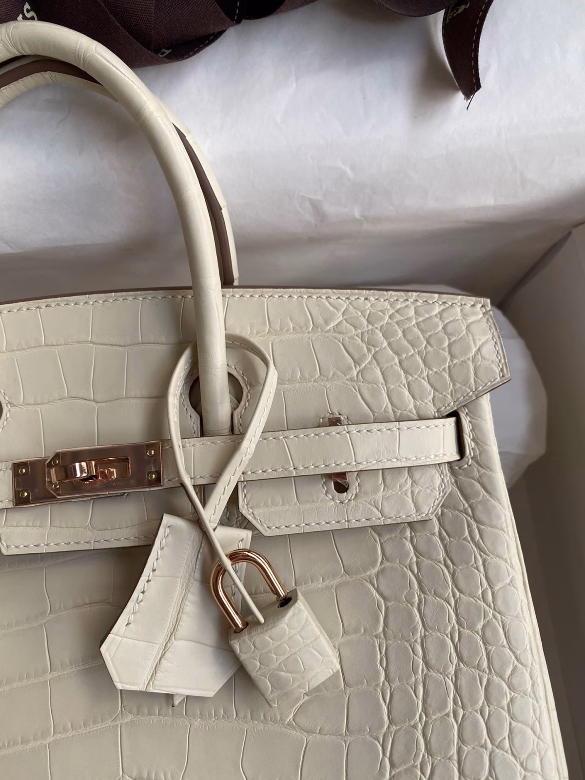 Hermes Birkin 25 Retourne Handmade Bag In Nata Matte Alligator Leather - Image 7