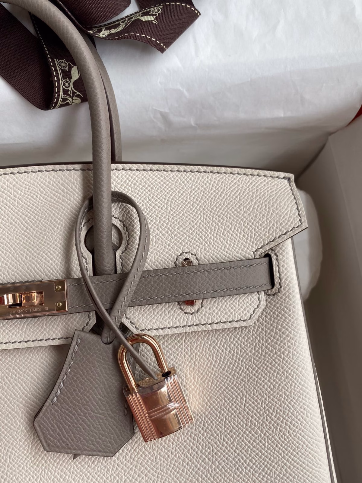 Hermes HSS Birkin 25 Bicolor Bag in Craie and Gris Asphalt Epsom Calfskin - Image 7