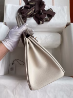 Hermes HSS Birkin 25 Bicolor Bag in Craie and Gris Asphalt Epsom Calfskin - Image 9