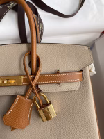 Hermes HSS Birkin 25 Bicolor Bag in Trench and Gold Epsom Calfskin - Image 7