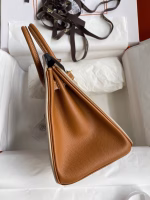 Hermes HSS Birkin 25 Bicolor Bag in Trench and Gold Epsom Calfskin - Image 9