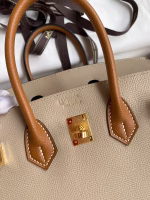 Hermes HSS Birkin 25 Bicolor Bag in Trench and Gold Epsom Calfskin - Image 2