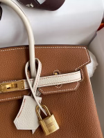 Hermes HSS Birkin 25 Bicolor Bag in Gold and Craie Clemence Leather - Image 7
