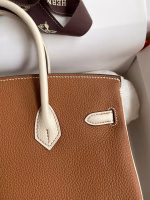 Hermes HSS Birkin 25 Bicolor Bag in Gold and Craie Clemence Leather - Image 8