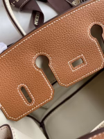 Hermes HSS Birkin 25 Bicolor Bag in Gold and Craie Clemence Leather - Image 5
