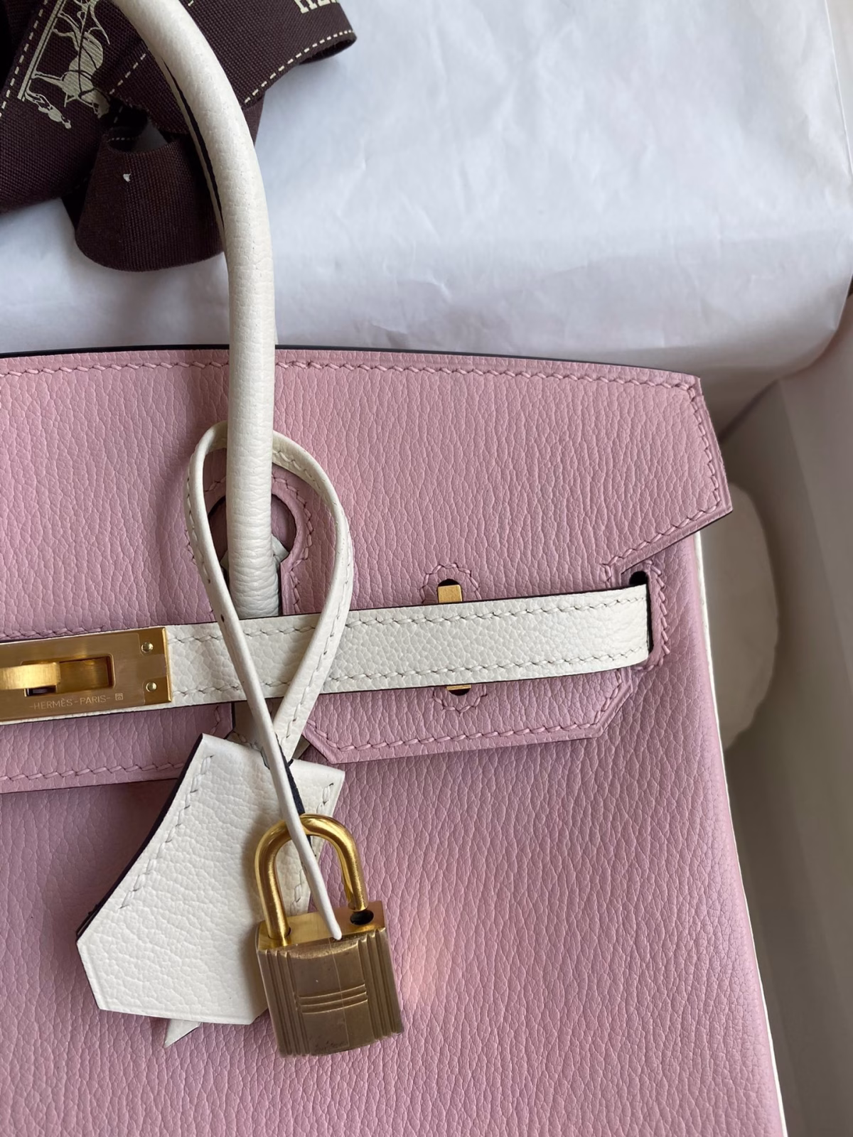 Hermes HSS Birkin 25 Bicolor Bag in Pink and Craie Chevre Mysore Leather - Image 7