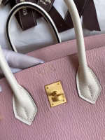 Hermes HSS Birkin 25 Bicolor Bag in Pink and Craie Chevre Mysore Leather - Image 2