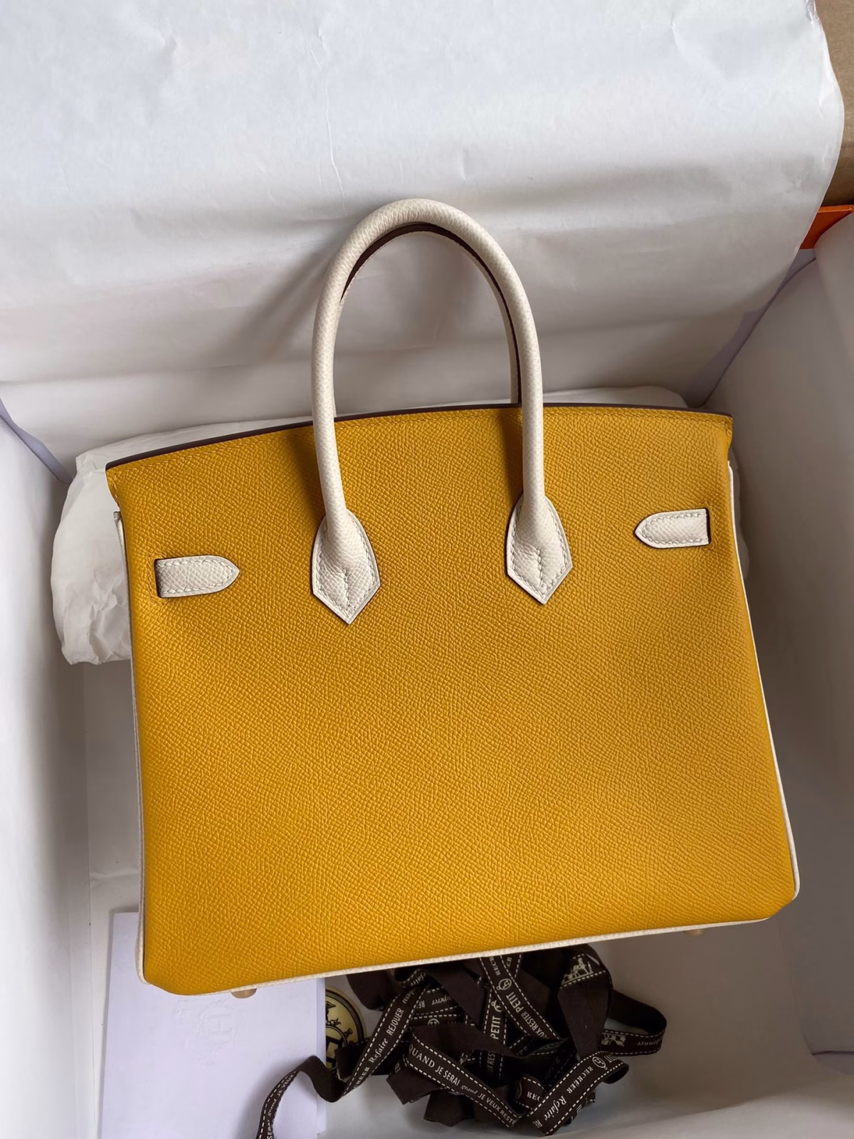 Hermes HSS Birkin 25 Bicolor Bag in Jaune d'or and Craie Epsom Calfskin - Image 1