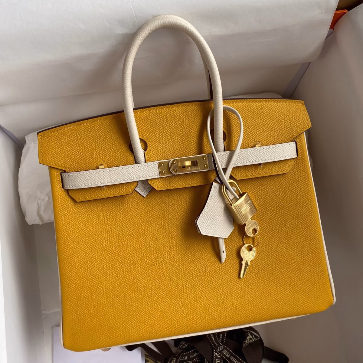 Hermes HSS Birkin 25 Bicolor Bag in Jaune d'or and Craie Epsom Calfskin - Image 2