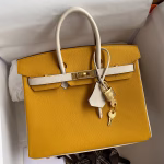 Hermes HSS Birkin 25 Bicolor Bag in Jaune d'or and Craie Epsom Calfskin - Image 2