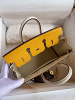 Hermes HSS Birkin 25 Bicolor Bag in Jaune d'or and Craie Epsom Calfskin - Image 4