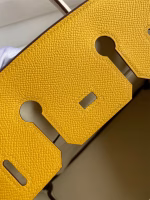 Hermes HSS Birkin 25 Bicolor Bag in Jaune d'or and Craie Epsom Calfskin - Image 9