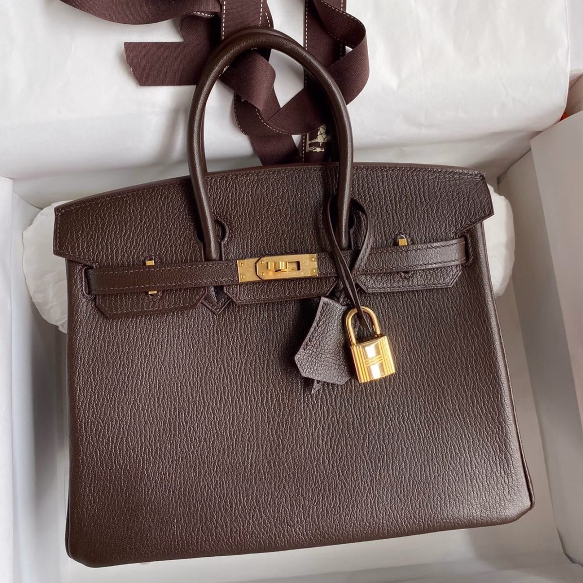 Hermes Birkin 25 Retourne Handmade Bag In Chocolat Chevre Mysore Leather - Image 1