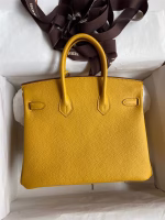 Hermes Birkin 25 Retourne Handmade Bag In Jaune Ambre Clemence Leather - Image 6