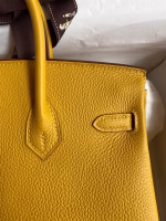 Hermes Birkin 25 Retourne Handmade Bag In Jaune Ambre Clemence Leather - Image 2