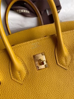Hermes Birkin 25 Retourne Handmade Bag In Jaune Ambre Clemence Leather - Image 4
