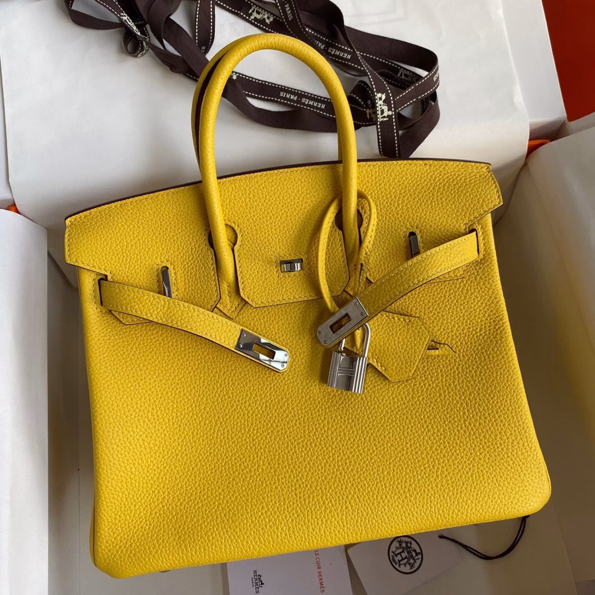 Hermes Birkin 25 Retourne Handmade Bag In Jaune de Naples Clemence Leather - Image 1