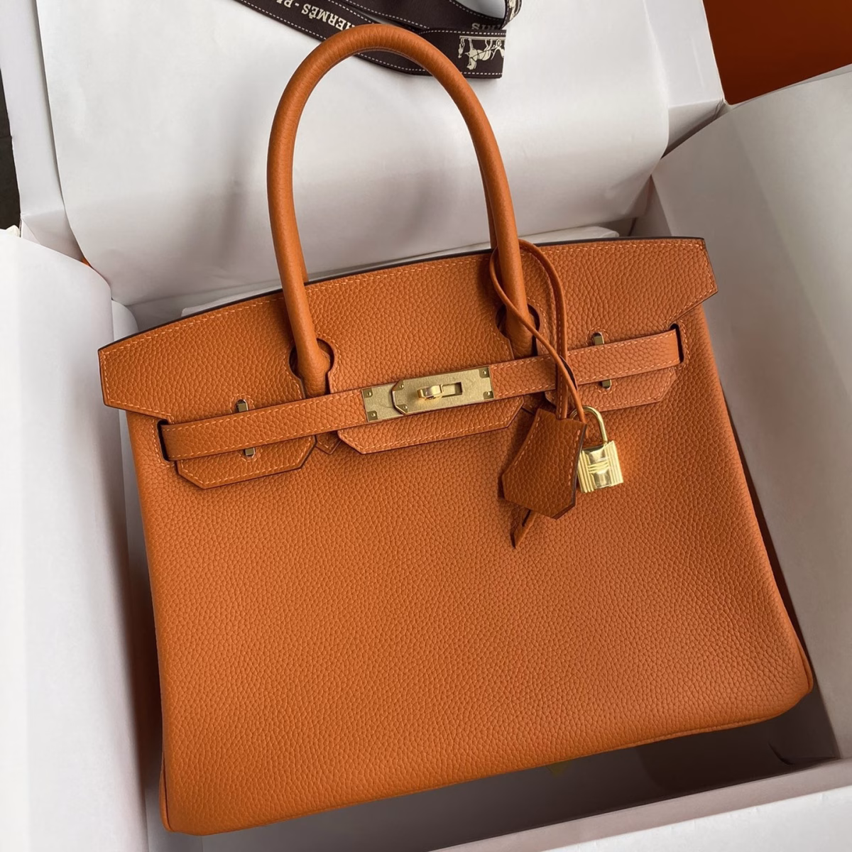 Hermes Birkin 25 Retourne Handmade Bag In Orange Clemence Leather - Image 1