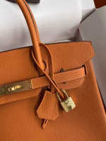 Hermes Birkin 25 Retourne Handmade Bag In Orange Clemence Leather - Image 7