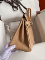 Hermes Birkin 25 Retourne Handmade Bag In Beige Lizard Leather - Image 9
