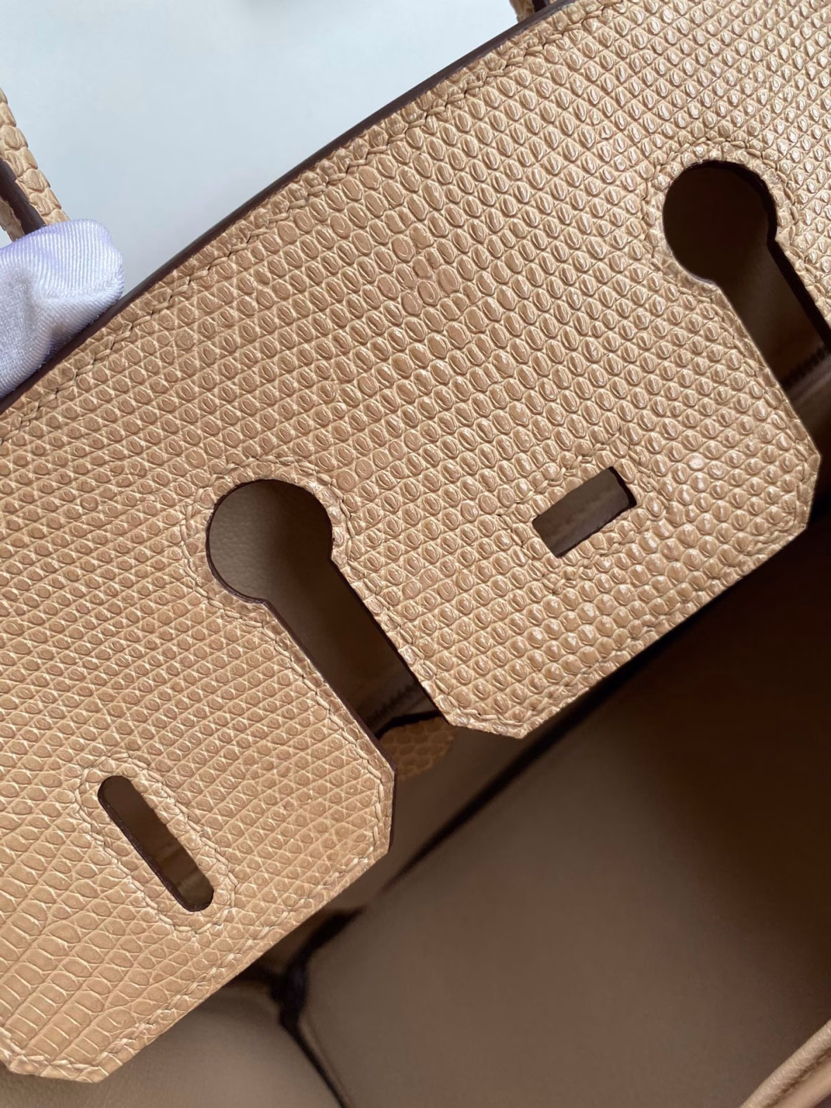 Hermes Birkin 25 Retourne Handmade Bag In Beige Lizard Leather - Image 5