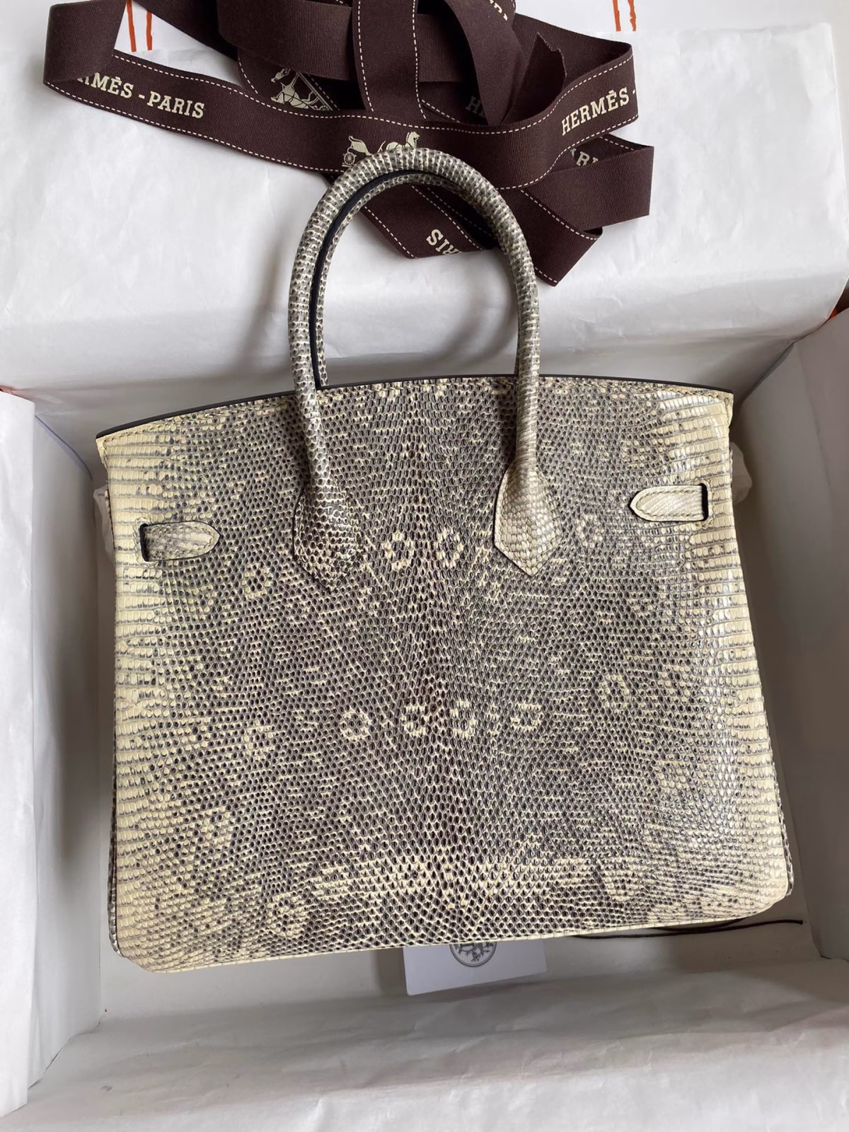 Hermes Birkin 25 Retourne Handmade Bag In Ombre Lizard Leather - Image 6